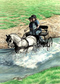 Carriage Driving, Equine Art - Water Hazard